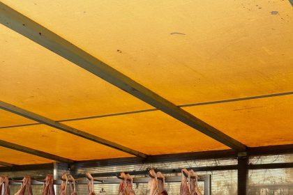 Amenzi de peste 6,3 milioane de lei