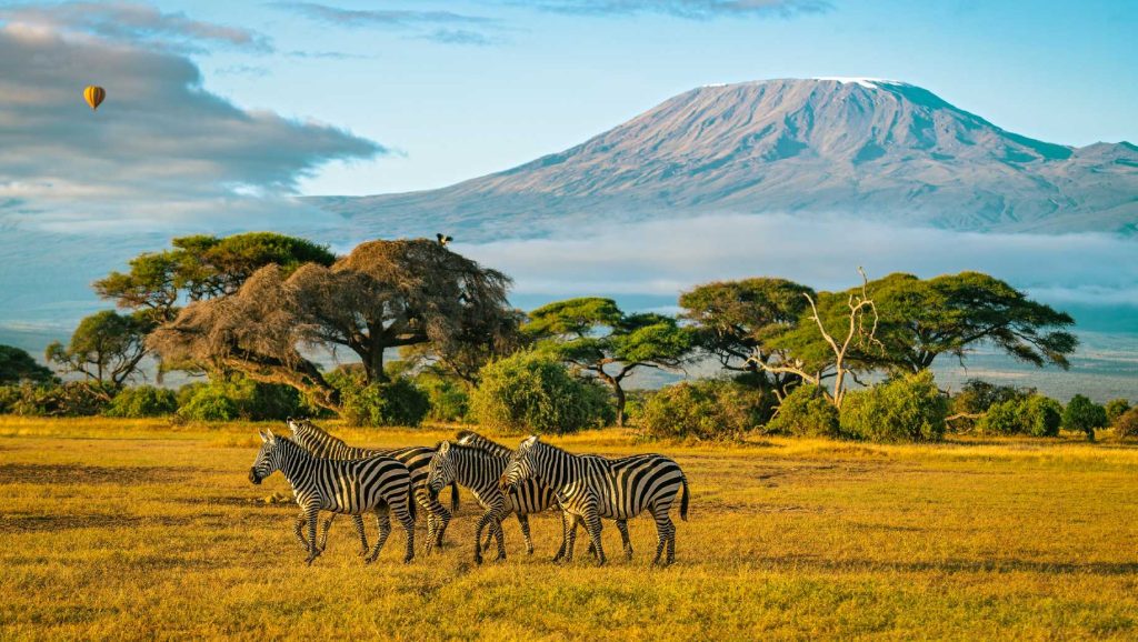 Shopping City Ploiești aduce mai aproape vacanțele