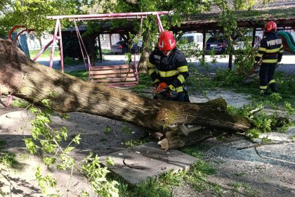 Intervenții în lanț