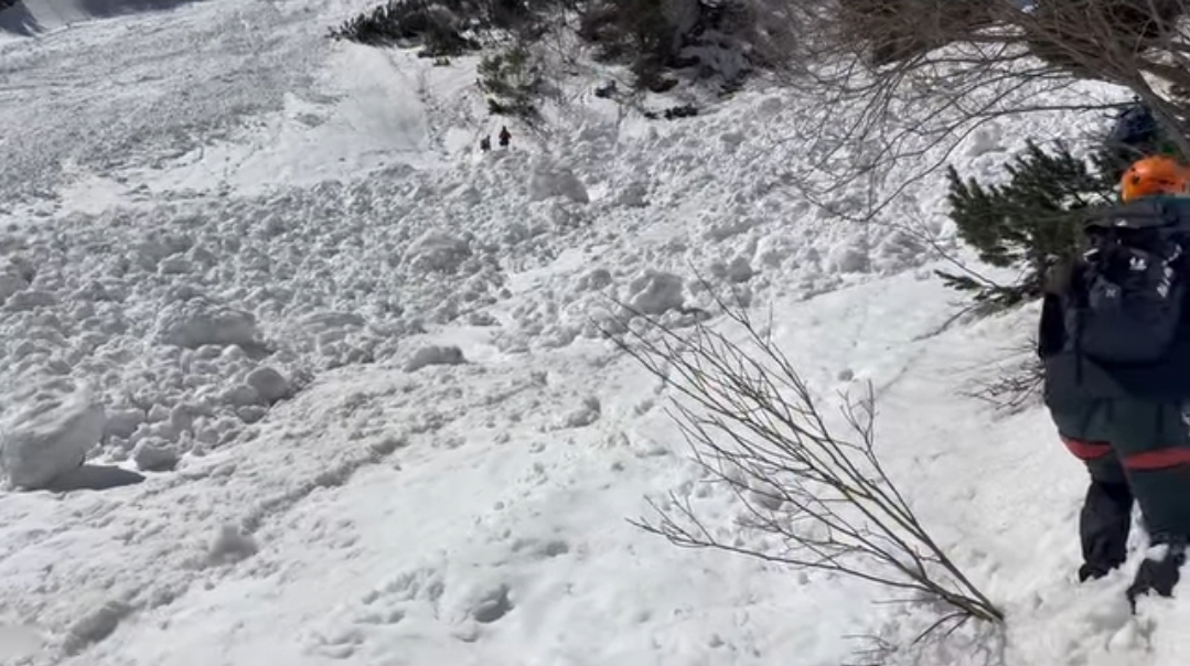 Avalanșă de mari dimensiuni