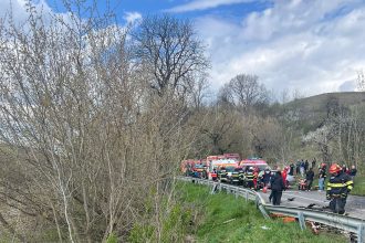 Pompierii au fost în alertă