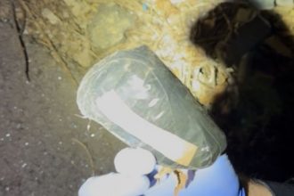 Tânăr de 24 de ani