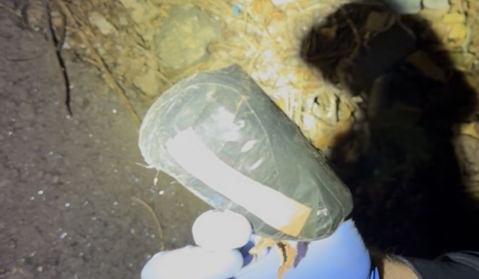 Tânăr de 24 de ani