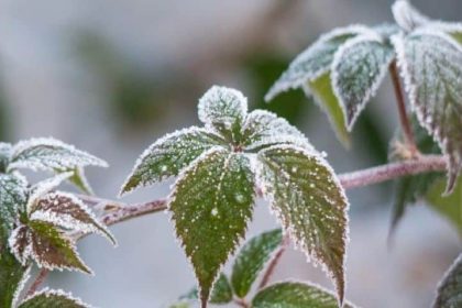 Vreme neobișnuit de rece