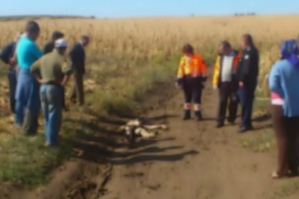 Polițist de 20 de ani