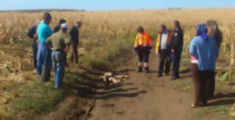 Polițist de 20 de ani