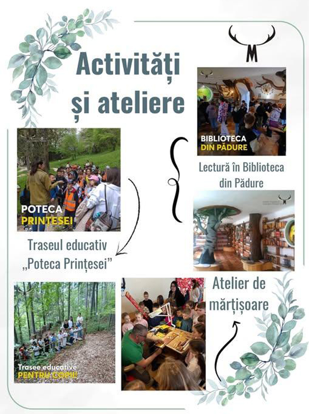 Activități educative