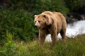 Parlamentul a aprobat noul plan 