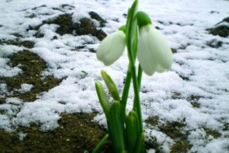 Iarnă în plină primăvară