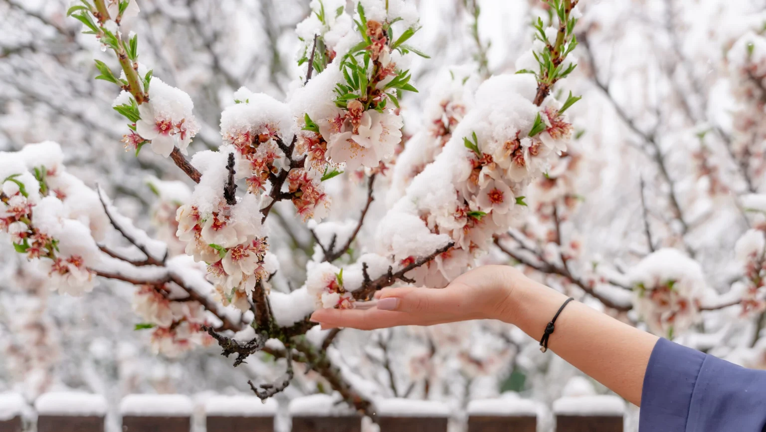 Ninsori și vreme instabilă