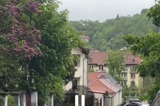 Urs filmat pe străzile din Brașov