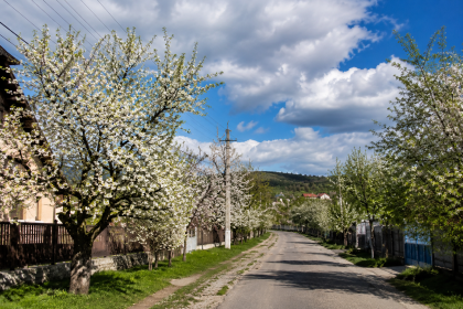 Investiții pentru dezvoltarea comunei Poienarii Burchii: