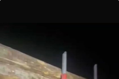 Transport ilegal de lemn