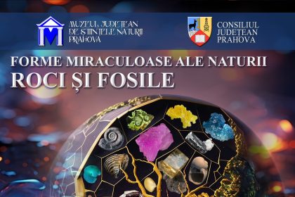 Expoziție nouă