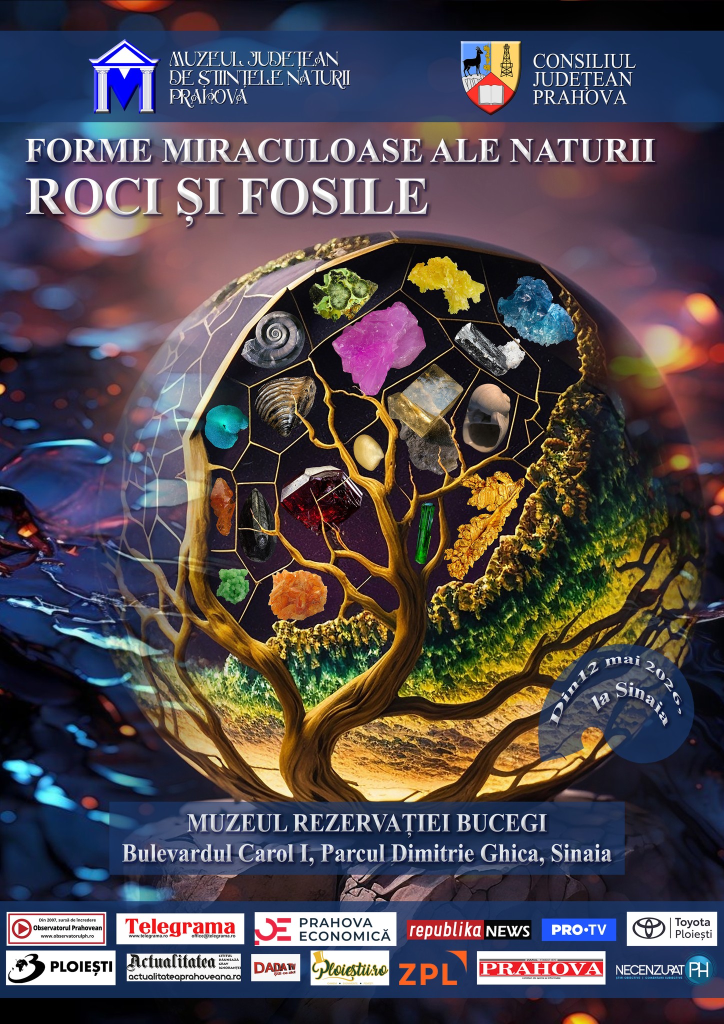 Expoziție nouă