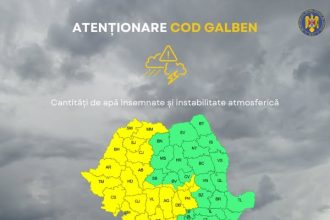 Cod galben de furtuni