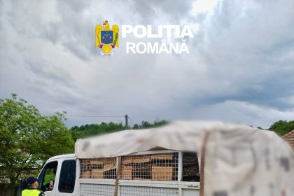 Transport ilegal de lemne