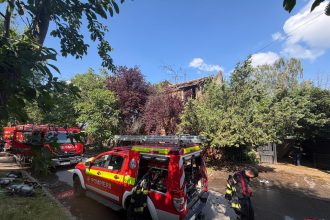 Peste 1.500 de intervenții
