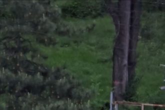 Tineri filmați cum distrug