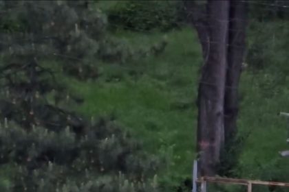 Tineri filmați cum distrug