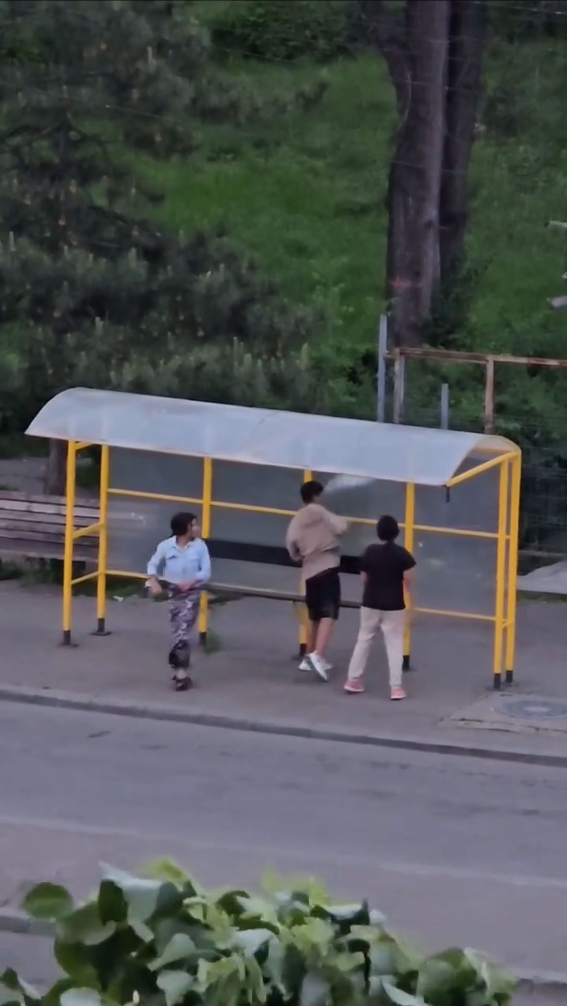 Tineri filmați cum distrug
