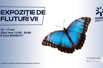 Experiență tropicală