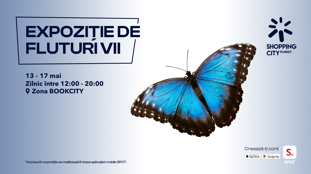 Experiență tropicală