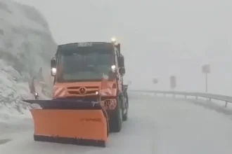 Ninsori și ger în luna mai