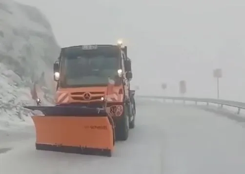Ninsori și ger în luna mai