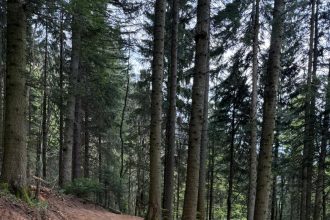 Se refac traseele de mountain biking