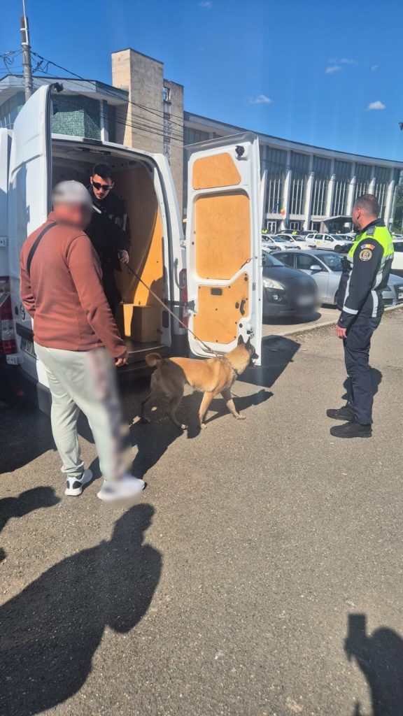 Controale de amploare în transportul de persoane