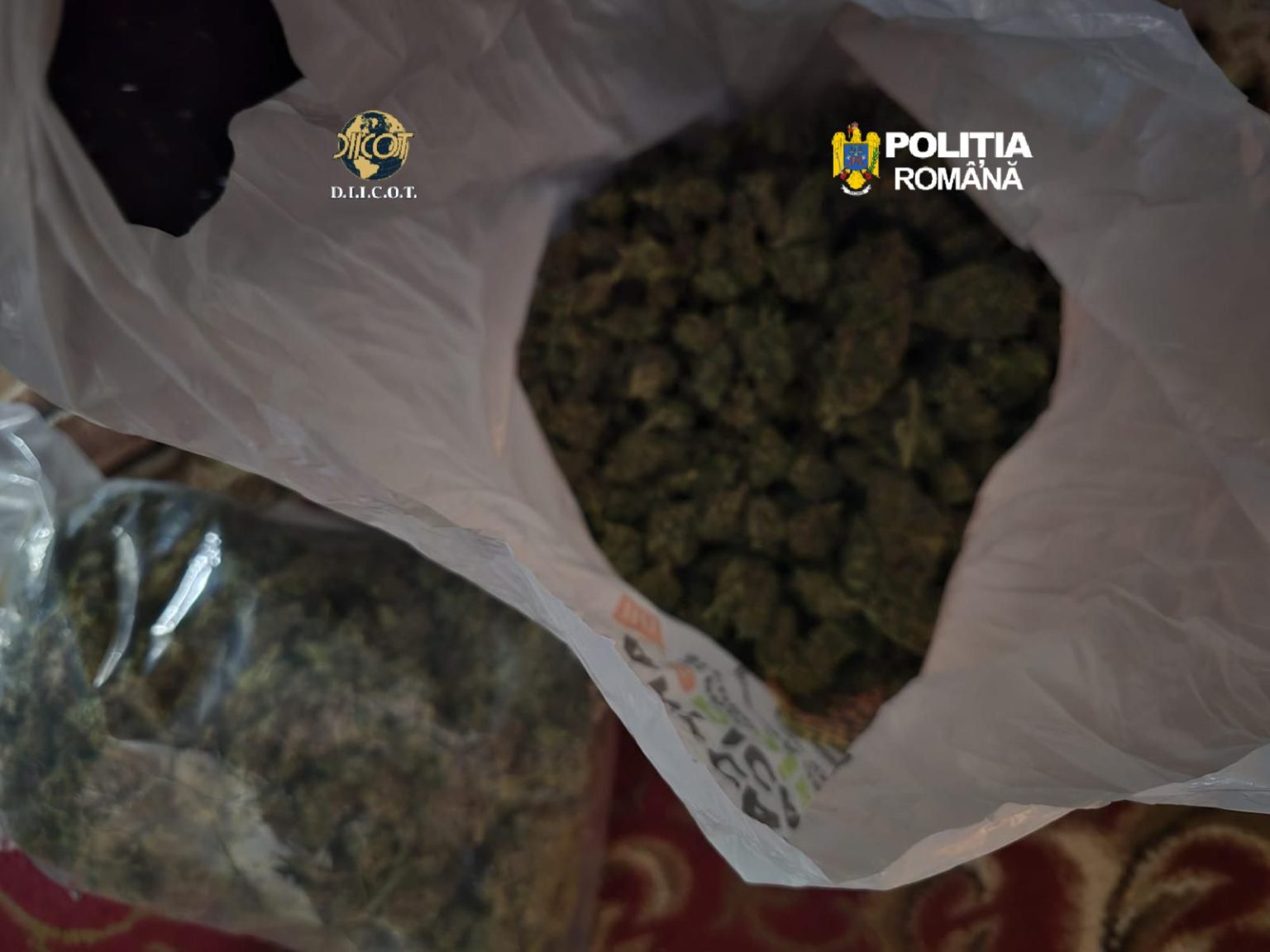 Doi tineri arestați