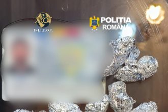 Zeci de percheziții