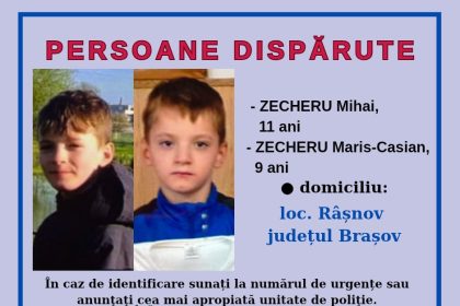 Doi frați, dispăruți