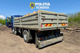 Transport de lemn