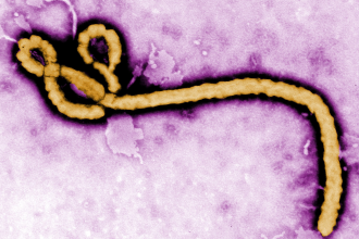Ebola