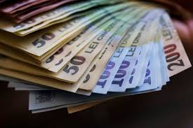 Euro scade
