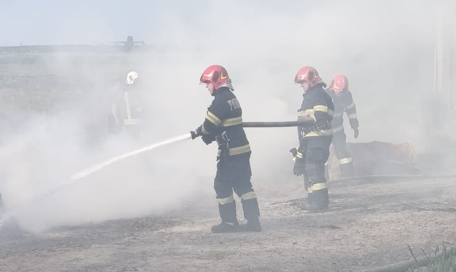Zeci de intervenții