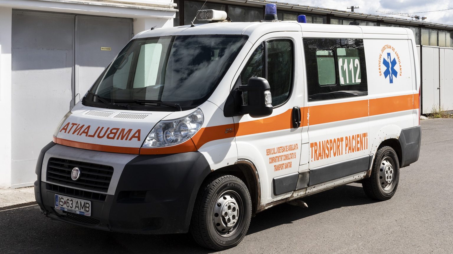 Bătut măr