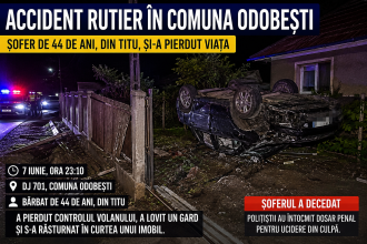 Un șofer și-a pierdut viața