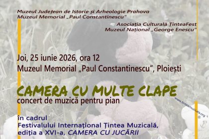 Festival de muzică