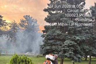 Ploieștiul intră în a patra etapă de dezinsecție