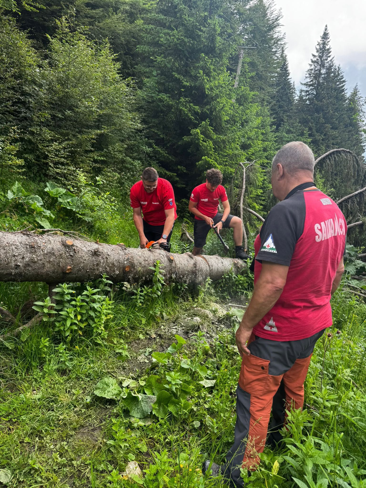 Salvamont Brașov a desfășurat lucrări pe trasee