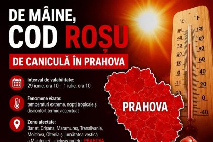 COD ROȘU DE CANICULĂ