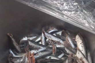 Amenzi de peste 4,4 milioane