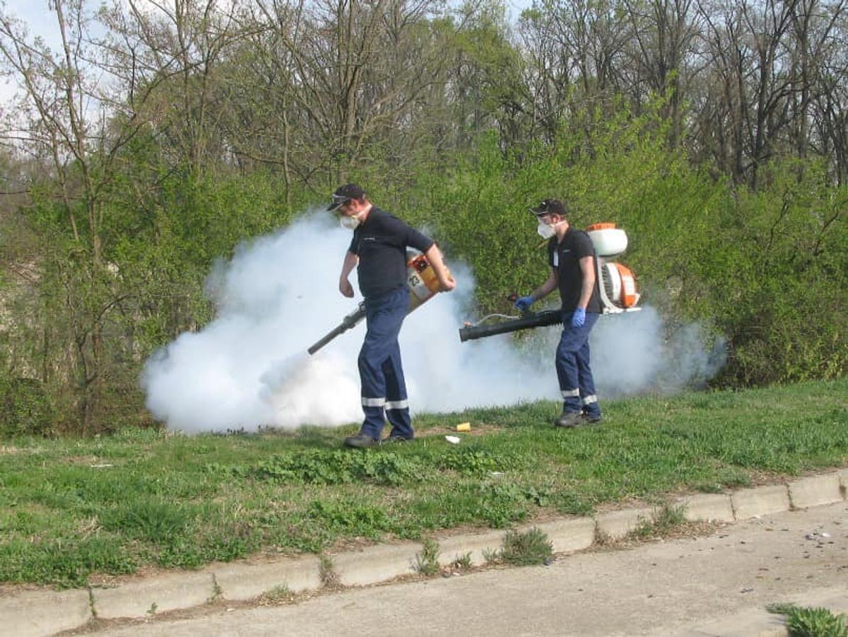 Dezinsecție în Buzău