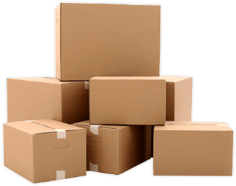 Coletelor