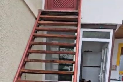 Urs cu trei pui