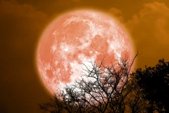 Luna Căpșună