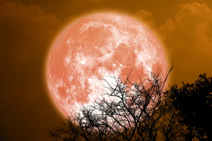 Luna Căpșună